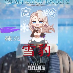 大黑狗配猪的视频
