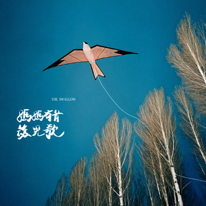 大黑狗配猪的视频
