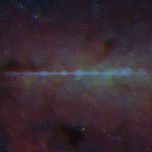 大黑狗配猪的视频
